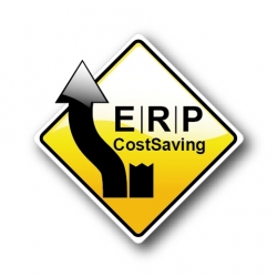 ERP Cost Saving