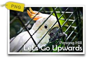 Let's Go Upwards To Penang Hill-Experience The Mellow Side Of Penang