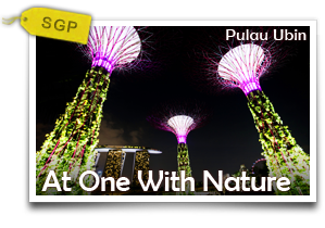 At One With Nature Pulau Ubin	-Outdoor Wonders In A Rustic Enclave		