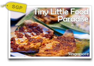 Tiny Little Food Paradise-Eat Like A Singaporean And Explore The Cultural Roots