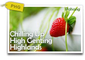Chilling Up High - Genting Highlands-A Perfect One Day Breakaway on the Hills