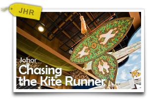 Chasing the Kite Runner-Discovering Gorgeous Beaches, Amazing Birds and Glorious Kites! 