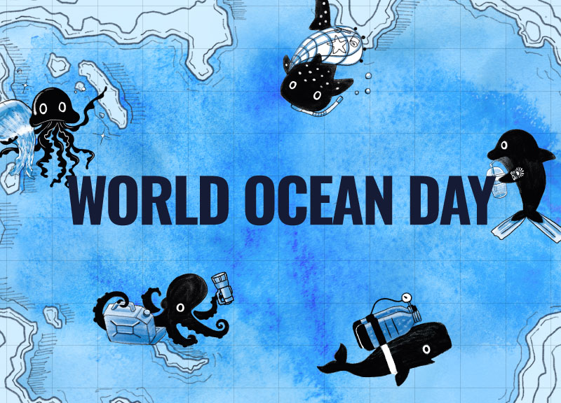 Which Marine Creature Are You?