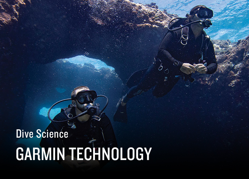 Dive Science