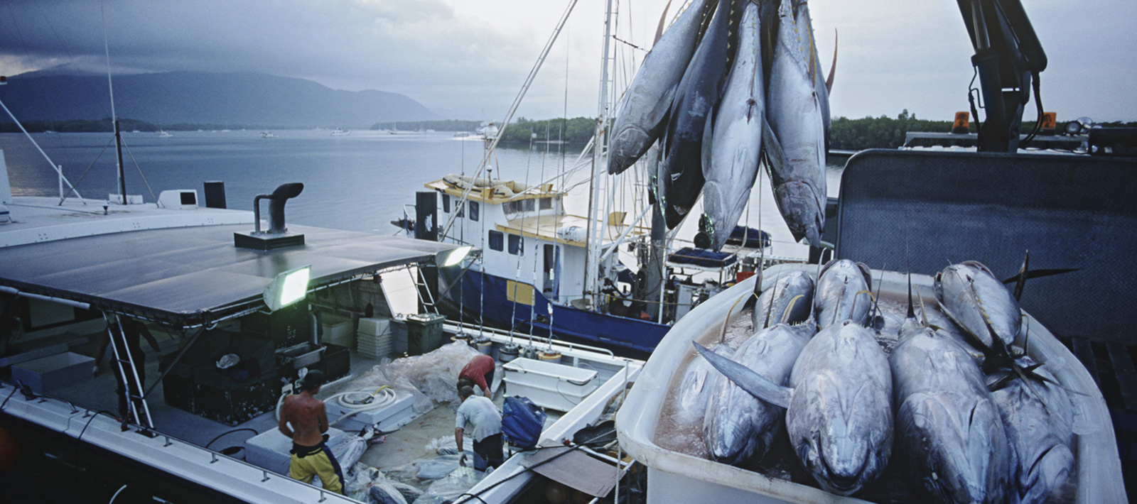 Commercial Fishing