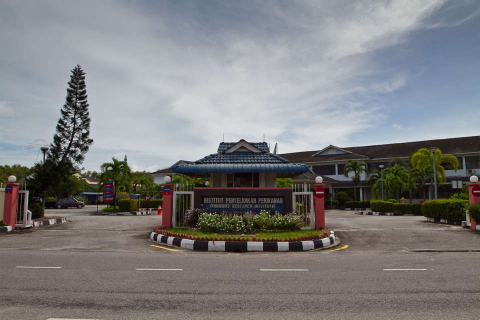 The Return to Fishing Village @ Penang  Travel Itinerary  Garmin 