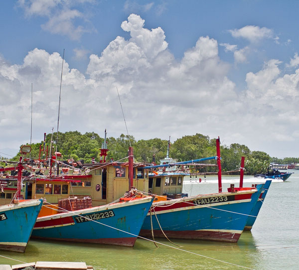 Tok Bali Fishermen's Jetty & Fish Market