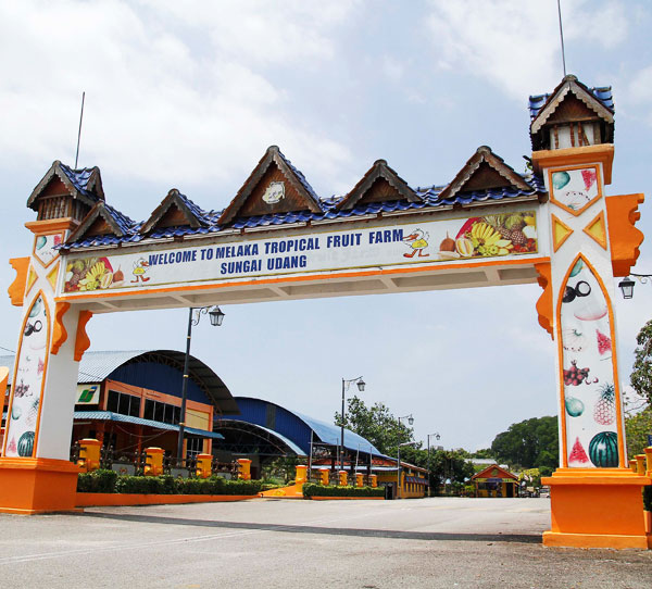 Melaka Tropical Fruit Farm